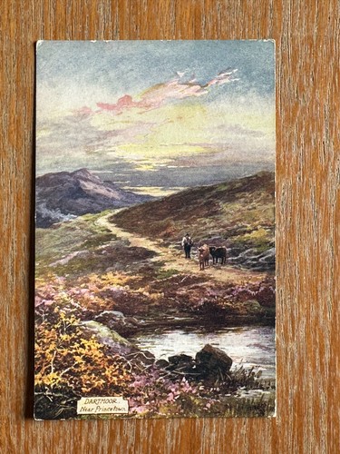 Antique dartmoor postcard near - antique,