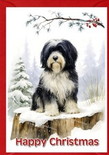 Tibetan terrier dog - tibetan, christmas