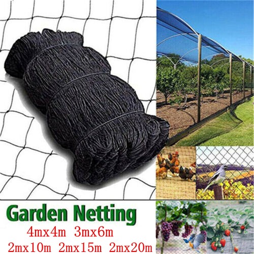 Anti bird net - plant, protection