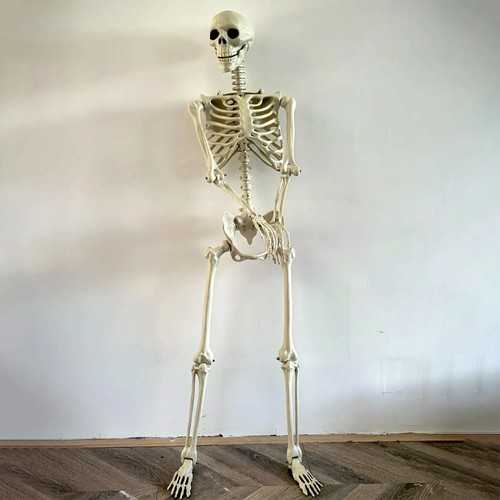 Halloween realistic life - halloween,