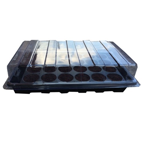 Cell propagator with plug - propagator,