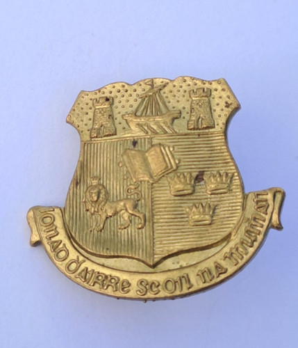 Irish army university college - university,