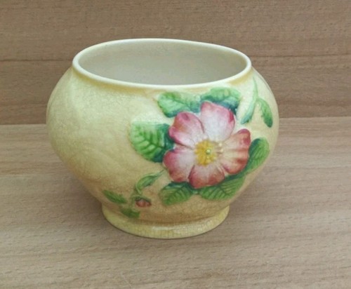 Vintage carlton ware - ware, pale