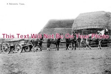 SX 4516 - A Balcombe Team, Sussex c1905