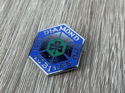 Girl guides pin badge - girl,