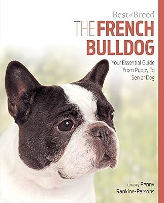 French bulldog best breed - bulldog,