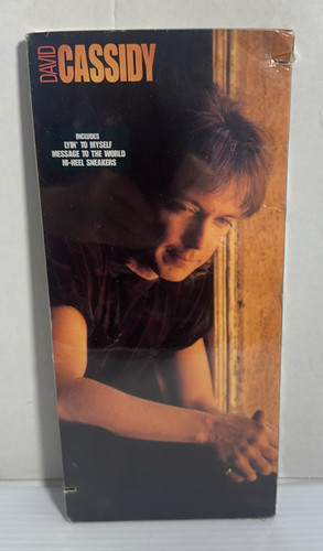 David cassidy enigma - enigma, lyin'
