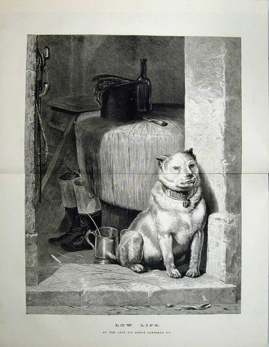 Original old antique print - original,