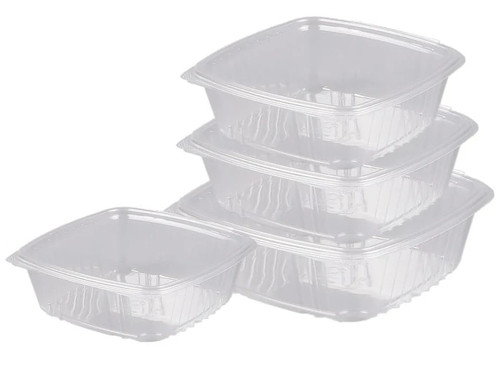 Clear hinged lid food - hinged,