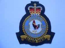 43  RAF  SQUADRON    crest