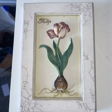 M&S hand painted ceramic Tulip