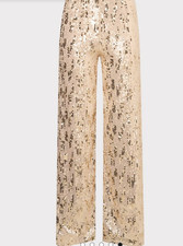 Nwt Gold sequin lined wide leg
