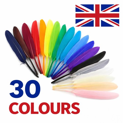 15cm goose feathers - feathers, arts