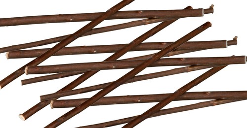 Hamster toy willow sticks - hamster,