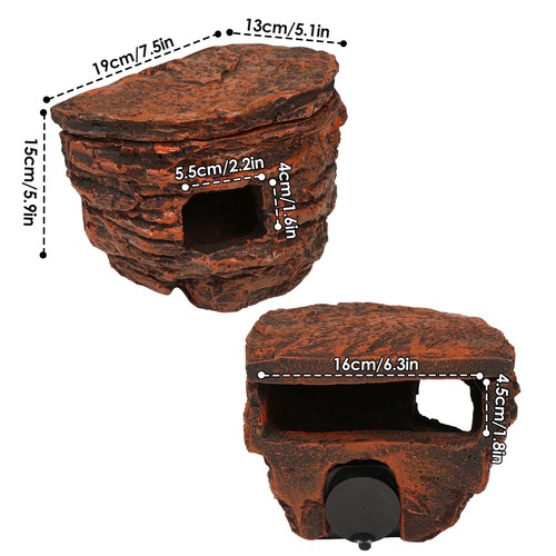 Reptile rock cave - reptile, hideout