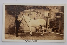 CDV OF A MAN WITH A WHITE HORSE IN A STABLE YARD, HORSEHOES ON WOODEN DOOR