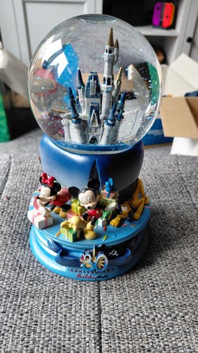 30th anniversary disney world - anniversary,