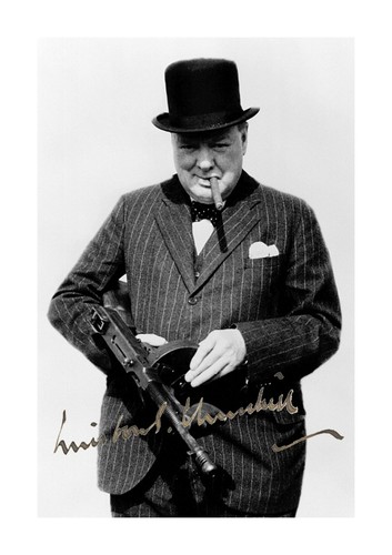 Sir winston churchill - winston,