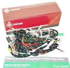 LU54962252 wiring harness