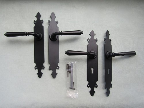 Rustic metal lever door