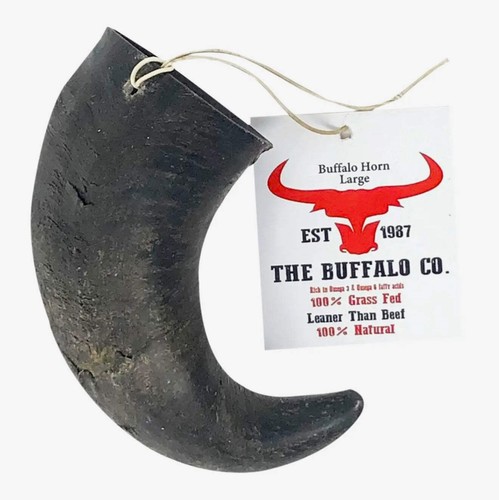 Buffalo horn large - buffalo, horn-large
