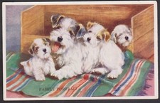 C1950 MABEL GEAR  POSTCARD #5339 'FAMILY PORTRAIT' SEALVHAM TERRIER AND PUPPIES