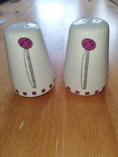salt and pepper pots novelty
