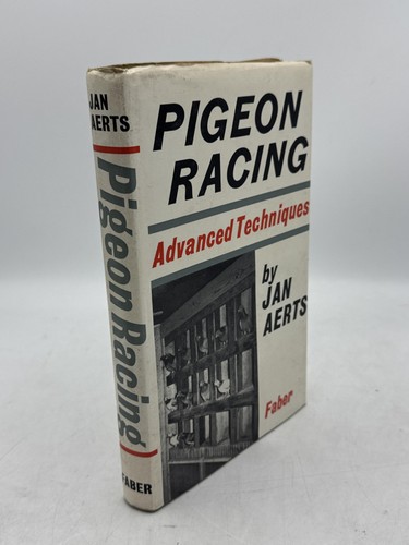 Pigeon racing advanced - pigeon, racing: