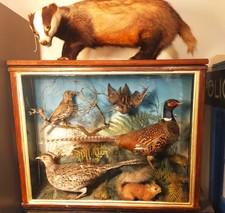 VICTORIAN ANTIQUE DISPLAY