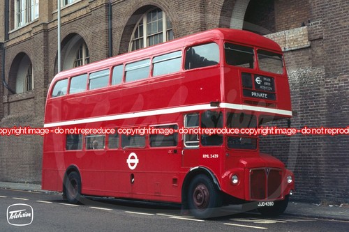 Bus photo london transport - photo,