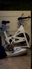 Used spin bike for indoor or