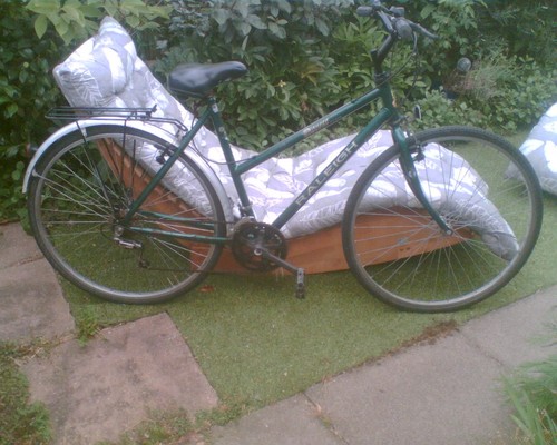 Raleigh pioneer bike - pioneer, ladies