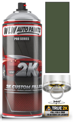 Ral 6003 olive - 6003, aerosol