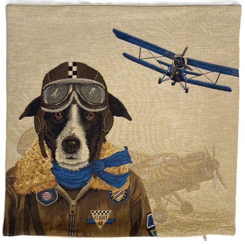 Blue flyer pilot belgian - flyer,