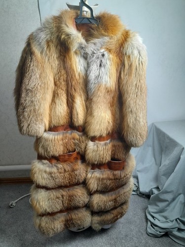 Real red fox - fox, coat