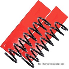 APEC Rear Suspension Coil