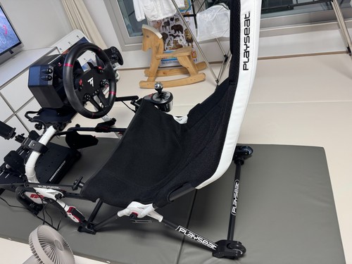 Playseat challenge f1 - dd,