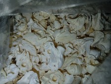 Genuine domestic rabbit craft