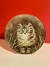Royal Worcester Plate Wild Flower Kitten Classics Decorative 