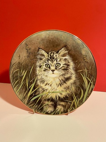 Royal worcester plate wild - worcester,