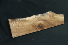 Spalted Beech 1186 L x 320-234