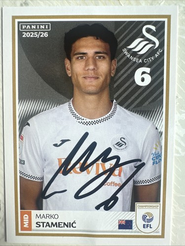 Swansea city marko stamenic - swansea,