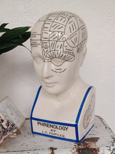 Phrenology bust l n - phrenology, 11.75"