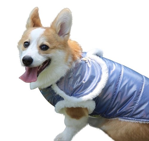 Pet dog warm coat fleece - warm,