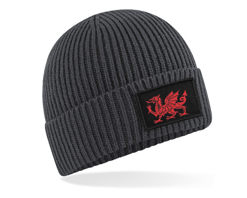 Embroidered beanie hat with - beanie,