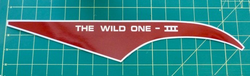 1960s western flyer - western,