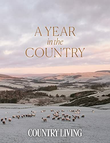 Year the country - year, country-the
