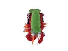Realistic Plush Mantis Shrimp