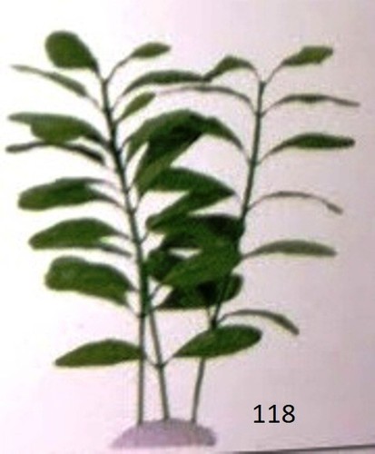 Aquarium fish tank 40cm - aquarium,