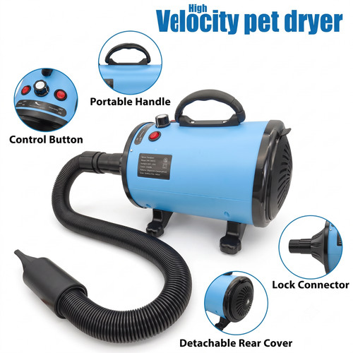 Pet hair dryer dog - dog, cat